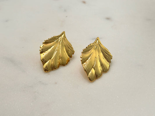 Acacia Leaf Earrings